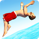 Flip Diving安装器
