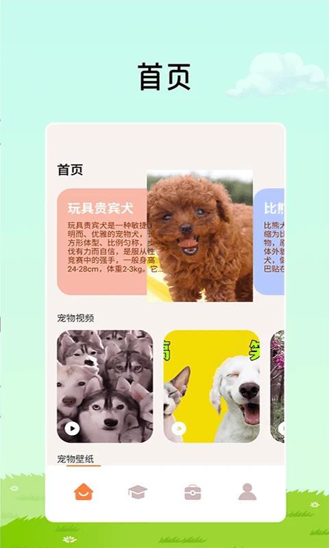 猫咪解压翻译馆