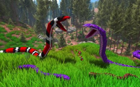 野生眼镜蛇Wild Cobra 野生眼镜蛇Wild Cobra