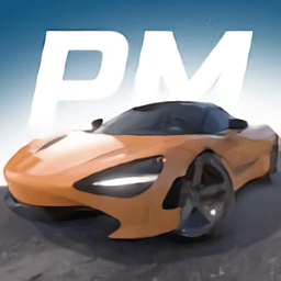 Parking Master : Multiplayer