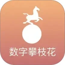 数字攀枝花