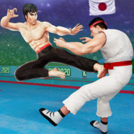 Karate Fighter安装器