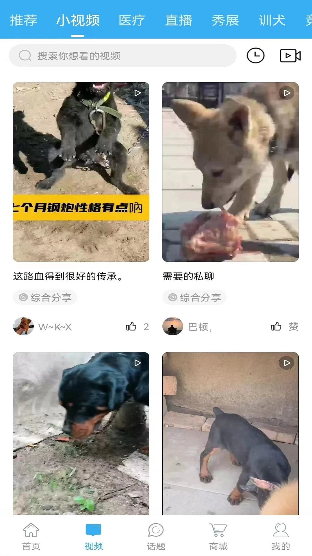猛犬俱乐部 猛犬俱乐部