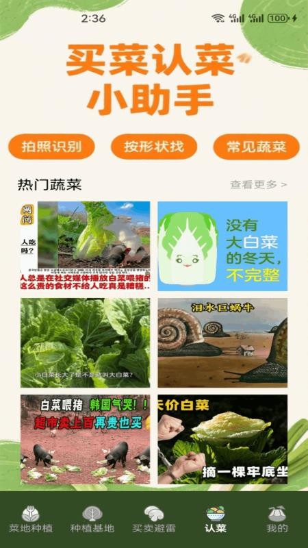 小菜园app免费版