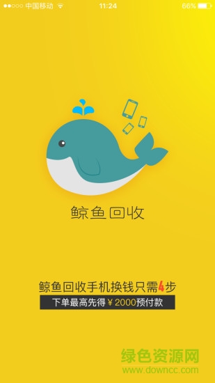 鲸鱼回收