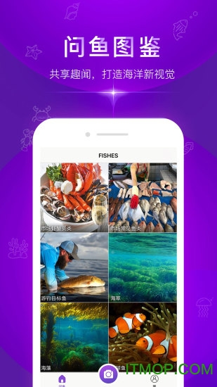问鱼(鱼类识别软件)