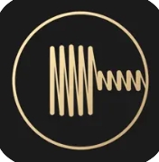 鑫艺拍拍-文玩鉴定拍卖严选