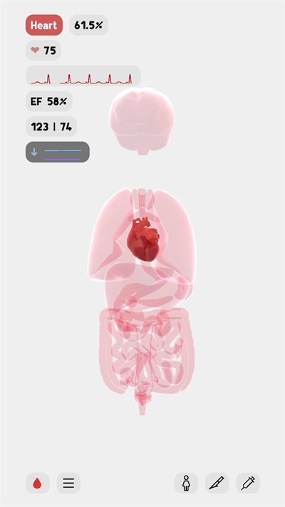 生命人体模拟器(LIFE) 生命人体模拟器(LIFE)