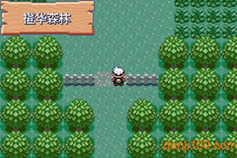 悟饭-口袋妖怪 绿宝石386 新汉化版