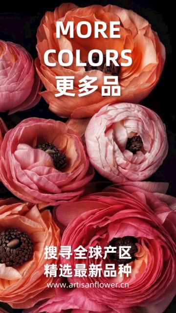 匠人花材 匠人花材