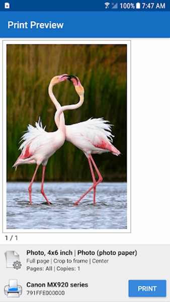 NokoPrint手机打印 中文版v5.10.8