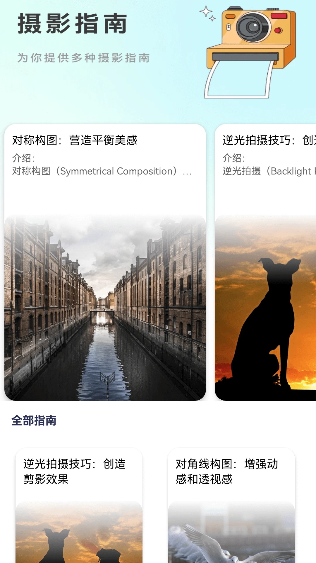 繁花乐看 繁花乐看