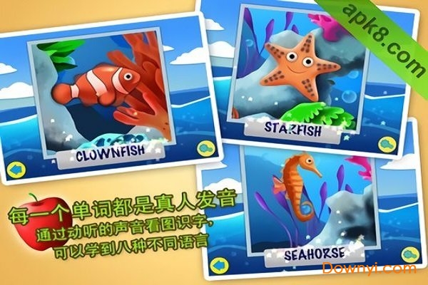 海洋拼图 海洋拼图