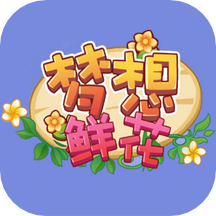 梦想鲜花