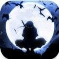 究极漩涡：新篇章