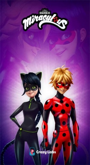 瓢虫少女游戏安装器