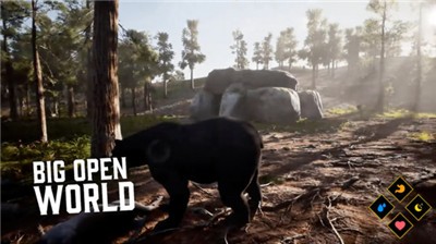 荒野求生进化 荒野求生进化