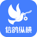 信鸽纵横管理端