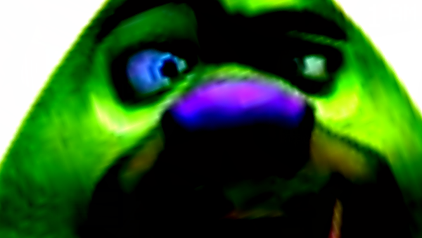 熊出没的五夜后宫 熊出没的五夜后宫