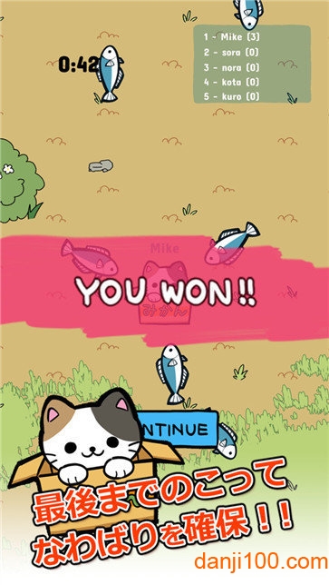 公园里的野猫 公园里的野猫