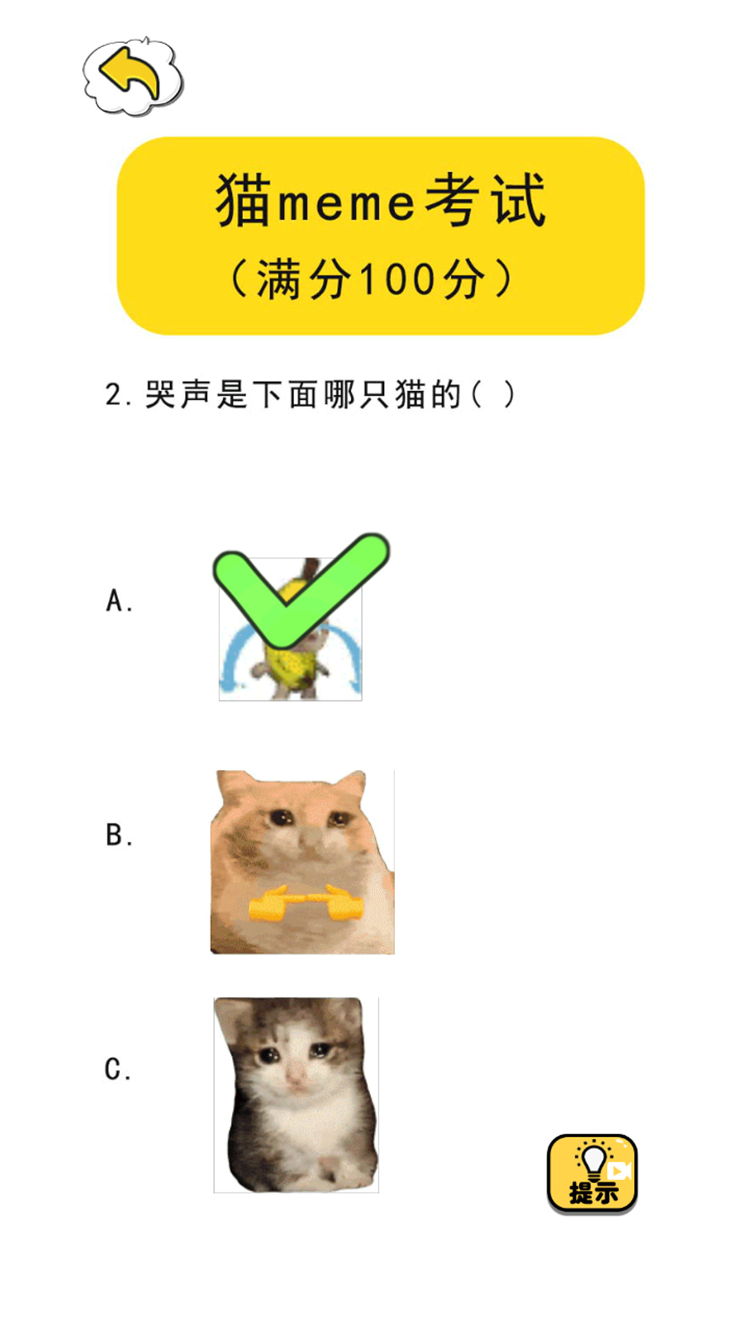 猫meme热梗