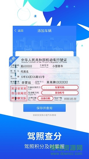 掌上违章查询助手