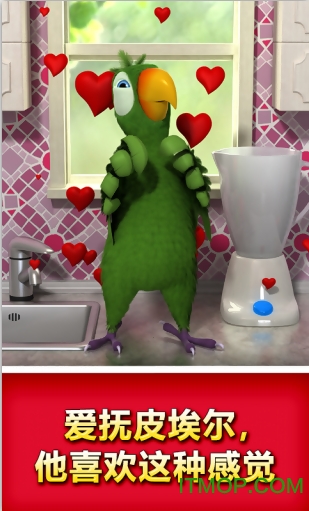 会说话的鹦鹉皮埃尔(Talking Pierre the Parrot) 会说话的鹦鹉皮埃尔(Talking Pierre the Parrot)