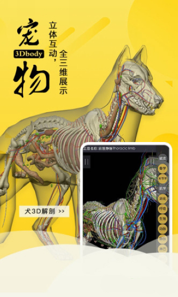 3Dbody宠物 安卓版v8.8.61 3Dbody宠物 安卓版v8.8.61