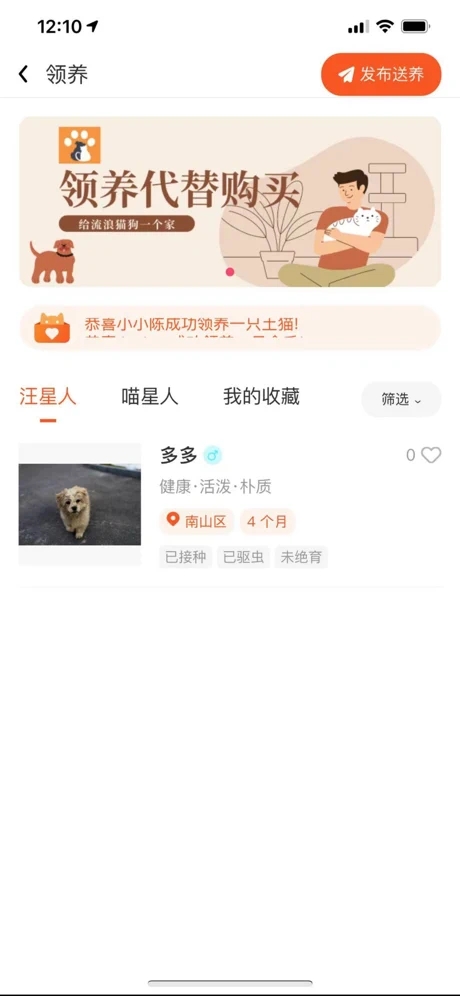 财猫双犬 财猫双犬