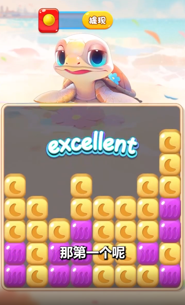 奇妙小海龟 奇妙小海龟