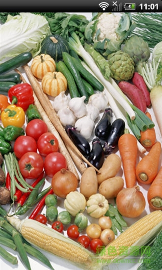 菜价菜谱查询 菜价菜谱查询