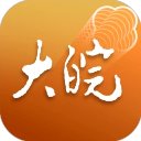 大皖Plus
