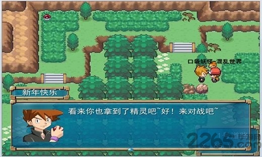 口袋妖怪：绿宝石火焰之魂