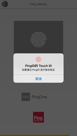 PingID app官方版