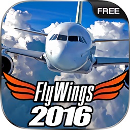 FlyWings 2016 Flight Simulator
