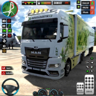 欧洲卡车运输车3d(Euro Truck Transporter 3d)