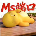 Ms端口
