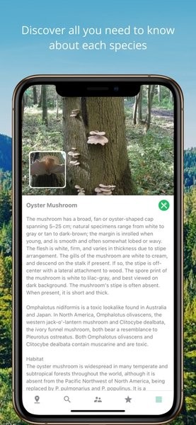 mushroom identification蘑菇鉴定软件 mushroom identification蘑菇鉴定软件