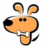 宠物训养小课堂