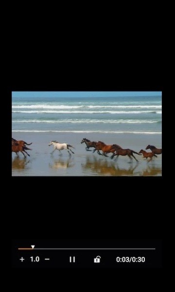 金沐文件助手安卓版