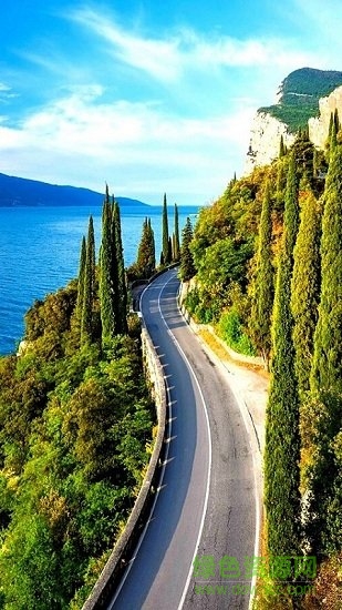 全局透明壁纸苹果版app