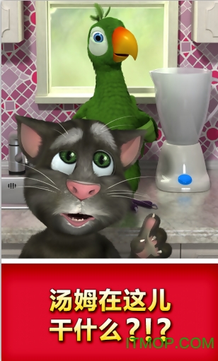 会说话的鹦鹉皮埃尔(Talking Pierre the Parrot)