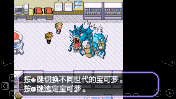 口袋妖怪 不归之殇·暗