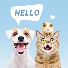 Dog & Cat Translator Prank