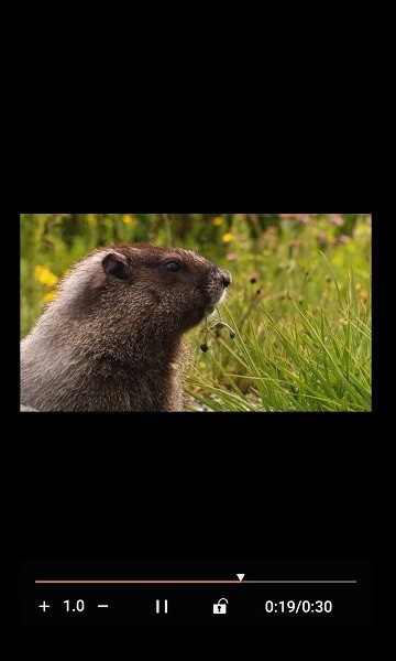 金沐文件助手安卓版