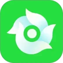 苗云卉