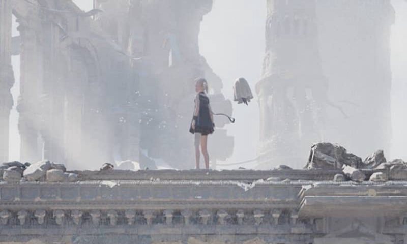 NieR(尼尔康乃馨) NieR(尼尔康乃馨)