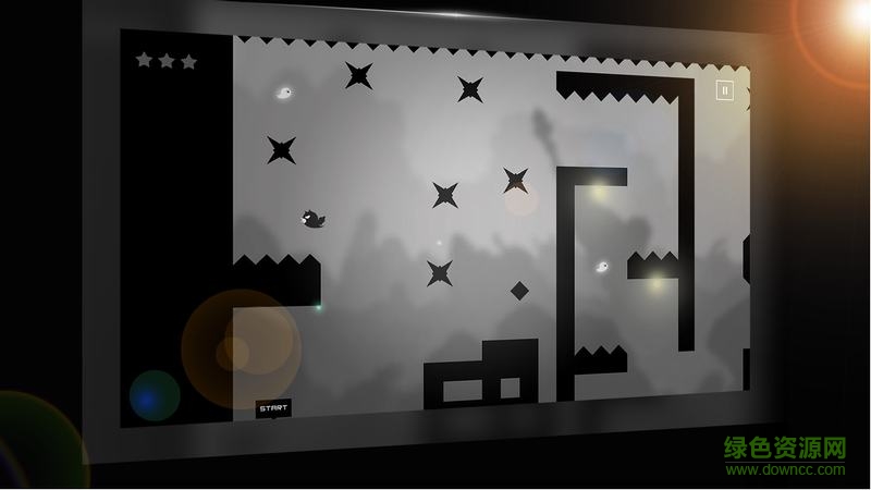 鸟的故事 鸟的故事