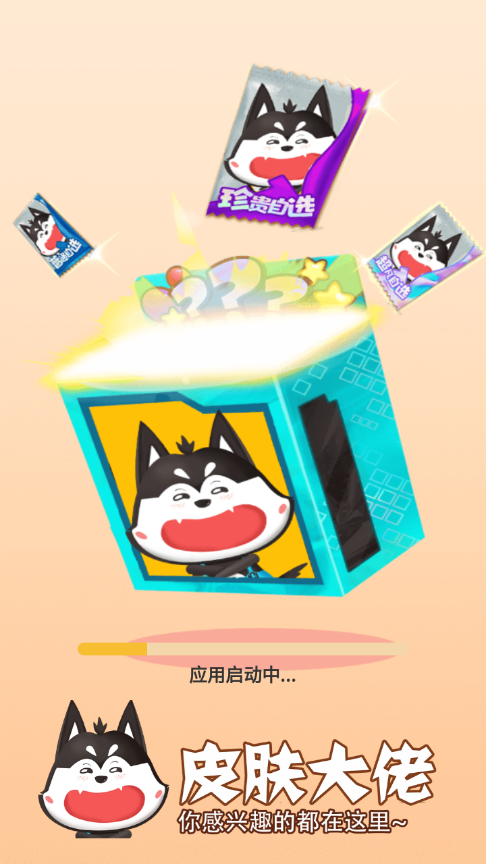 皮肤大佬 皮肤大佬