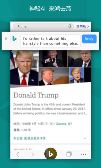 微软必应浏览器国际版